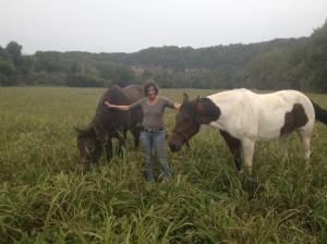 lush limited grazing with hobbles