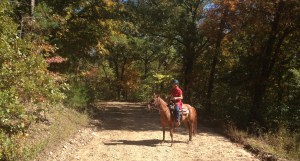 on the way to getting lost but the fall colors are pretty