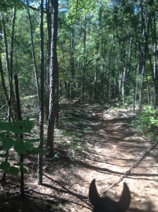 Ponying on the red trail day 1