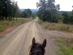 Rode Dreamy on the dirt roads day 2, she's sore on the roads and any rocks now