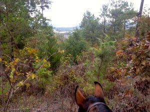 On the red trail with Wildflower, prior to the cold, rain and getting lost.