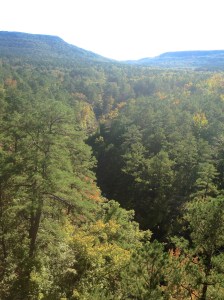 View of Sorghum Hollow (valley) on a ride with Frankie, the amazing horseman who rescued us the other day when we got lost.  This is a 300' drop and gorgeous view.