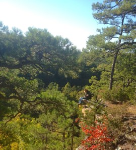 Frankie and his dog enjoying the view