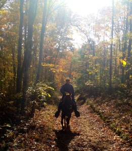 Dan from Orlando, FL