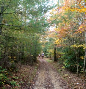Dan & Kirk on the trail, gaited horses walk fast!