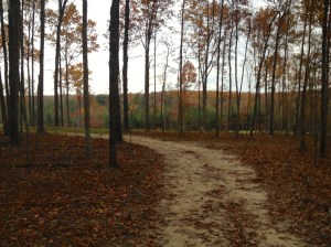 Lot ready for new owners in subdivision I rode thru