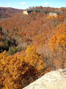 view from overlook ride on Dreamy