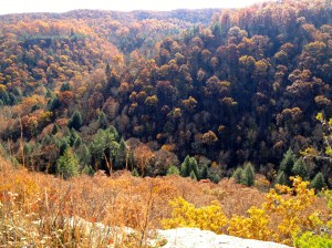 overlook view looking to the  left
