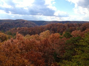 view from the top of the arches