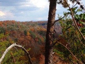 view from the top of an arch