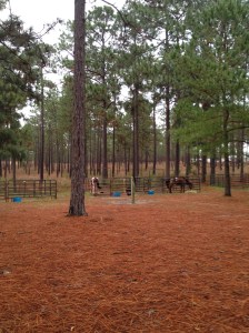 H Cooper Black campsite horse corrals