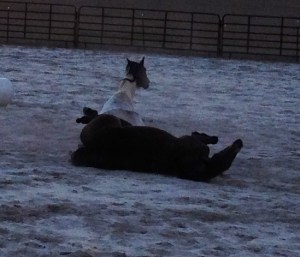 soft white sand to roll in