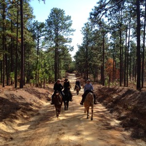 New friends, sand roads