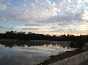 Jackson, FL overnight