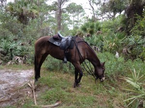 pee break on the trail