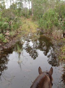It rained hard yesterday