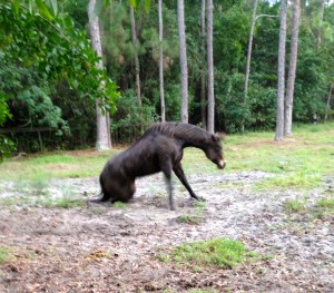 Of course she was just showered off