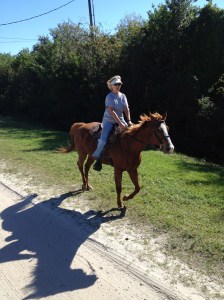 loping on the sandy roads