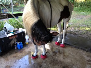 soaking newly bared feet