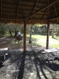 grass hut picnic area for equestrians 