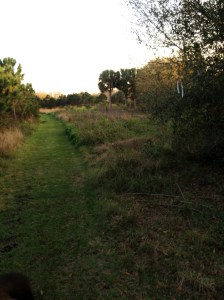 miles of grass trails