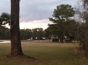 looking to the lodge from my site