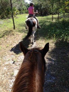 Du Puis Horsecamp, me on Wildflower