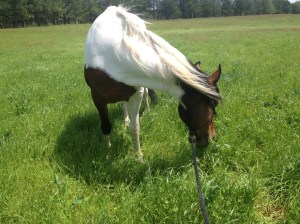 Wildflower is quite flexible when she wants to be!