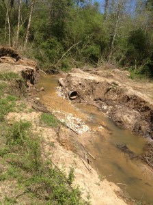 storm's damage to the trail