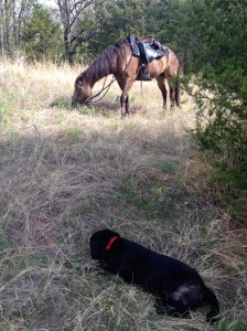 taking a break on the trail