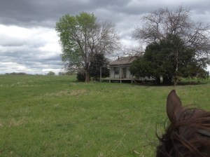 abandoned house in the middle of no where