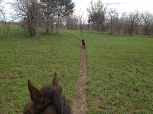 great trails for a run