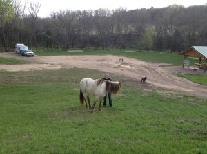 Snowy doesn't get walking hobbled