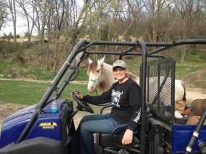 this is how they pony on a farm