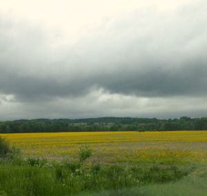 approaching High Knob