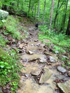 so much rain! trails are rocky and muddy