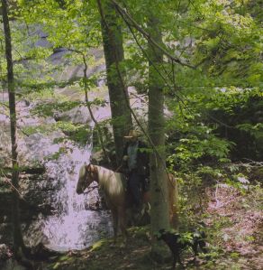 Sue Wimp on Sky (4 year old beauty)