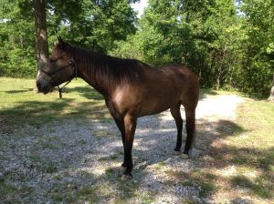 standing square !!! on gravel!!!