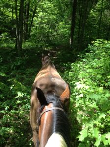 Dreamy took the lead