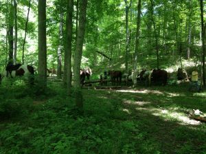 lunch break on the trail