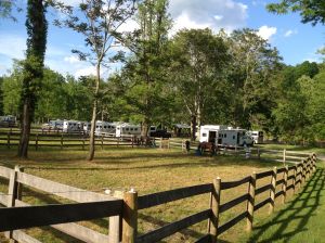 our paddock and rig