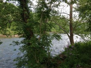 looking at the new river from camp site