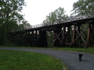 train tressels to cross