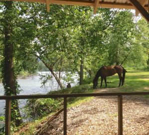 Dreamy from the deck/porch