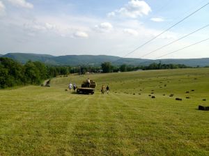 picking up hay bales in the field