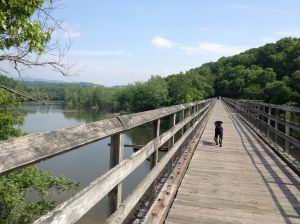 tressel crossing the new river