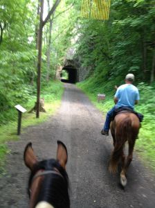 WF perks up her ears for the big hole coming up