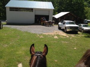 WF perks up her ears at our trail buddies today
