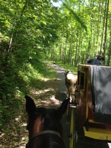 WF wants to pass so bad