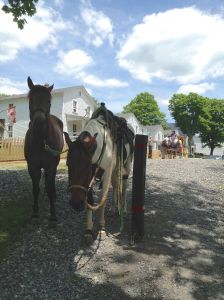 ranger harrassing EJ, blocked trailhead